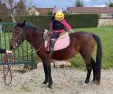 Ponette C 8 ans polyvalente pour loisir sport balade 