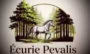 Pension chevaux &eacute;curie de propri&eacute;taire 