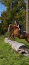 Ponette de sport facile