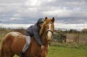 Ponette de sport facile