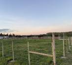 Pension aux portes de Montpellier