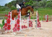 Hongre Z - 9 ans - CCE / CSO
