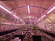 Large family home on a 78897 m&sup2; land 