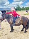 Filly Origin Recorded For sale 2023 Bay