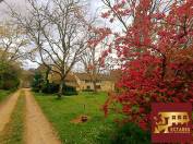 Equestrian Bed and Breakfast  Dordogne