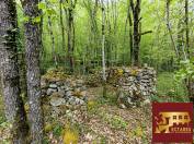 Equestrian Bed and Breakfast  Dordogne