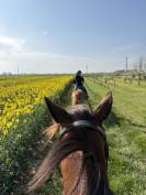 Recherche demi-pension pour Ma&icirc;tre d&rsquo;&eacute;cole 