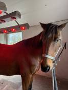 Recherche demi-pension pour Ma&icirc;tre d&rsquo;&eacute;cole 