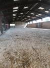 Pension chevaux - Ecurie les pr&eacute;s neufs - 70400 
