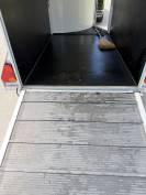 Vans cheval libert&eacute; 