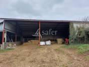 Propri&eacute;t&eacute; agricole sur environ 54 ha bien group&eacute;s