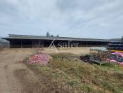 Propri&eacute;t&eacute; agricole sur environ 54 ha bien group&eacute;s