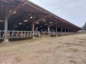 Propri&eacute;t&eacute; agricole sur environ 54 ha bien group&eacute;s