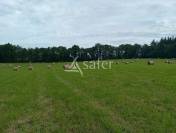 Propri&eacute;t&eacute; agricole sur environ 54 ha bien group&eacute;s