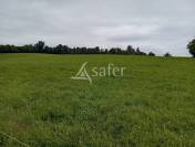 Propri&eacute;t&eacute; agricole sur environ 54 ha bien group&eacute;s