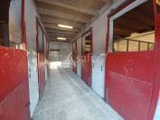 Equestrian property  Charente