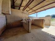 Equestrian property  Charente