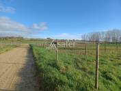 Equestrian property  Charente