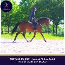 Belle jument 6 ans bon mental