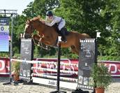 Cheval amateur &eacute;lite