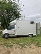 Renault Master deux chevaux t&ecirc;te arri&egrave;re 
