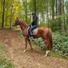 Shakyra de Croissart