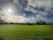 Exploitation Caprine + transformation &agrave; la ferme