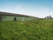 Exploitation Caprine + transformation &agrave; la ferme