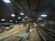 Exploitation Caprine + transformation &agrave; la ferme