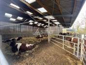 Propriet&agrave; equestre In vendita Calvados