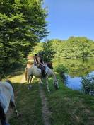 2 Juments arabes par OSBORN **** (SADEPERS)