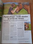 La communication animale au service des chevaux