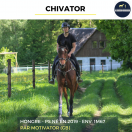 CHIVATOR - PS - 7 ANS