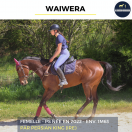 WAIWERA - PS - 4 ANS