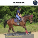WAIWERA - PS - 4 ANS