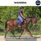 WAIWERA - PS - 4 ANS