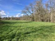 Centro ecuestre En venta Puy-de-D&ocirc;me