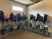 Centro ecuestre En venta Puy-de-D&ocirc;me