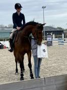 cavalier en formation Galop 7
