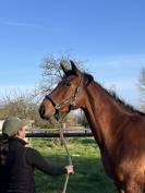 cavalier en formation Galop 7