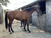 stage ou apprentissage 