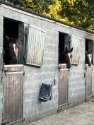 stage ou apprentissage 