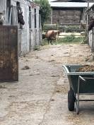 stage ou apprentissage 