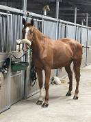 Demi pension ouest lyonnais 