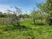 Explotaci&oacute;n agr&iacute;cola En venta Vend&eacute;e