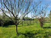 Explotaci&oacute;n agr&iacute;cola En venta Vend&eacute;e