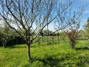 Other agricultural property  Vend&eacute;e