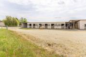 Centro di stagione cavallo In vendita Dr&ocirc;me