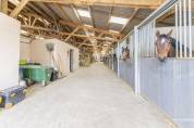 Centro di stagione cavallo In vendita Dr&ocirc;me