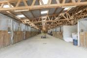 Centro di stagione cavallo In vendita Dr&ocirc;me